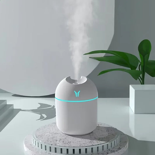 USB Sleep Humidifier and Oil Diffuser